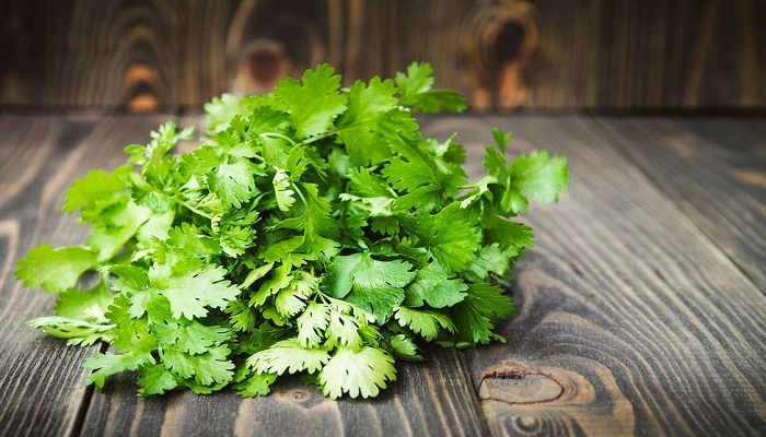 benefits of coriander