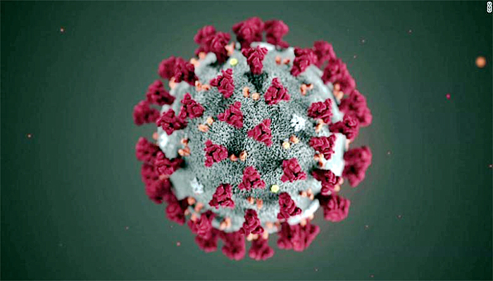 कोरोना वायरस coronavirus