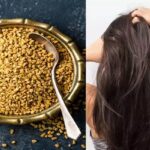 fenugreek oil for hair growth