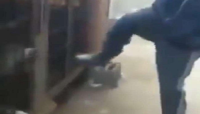viral video man kicking dog