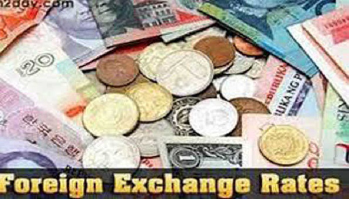 Foreign Exchange reserve
