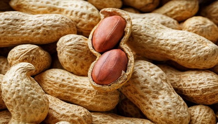 is peanut harmful to health