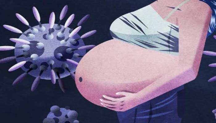 corona effects on pregnancy