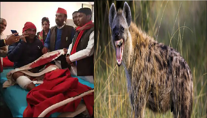 hyena attacked on SP leader