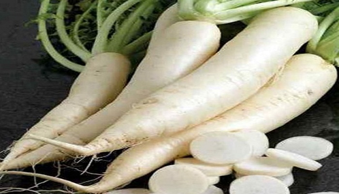 Radish