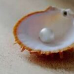 Pearl