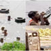 NIA reaches Mithi River