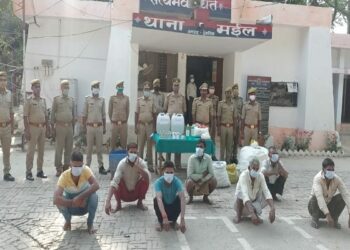 Illegal liquor factory busted