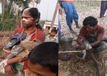 Young man's head shaved after stealing corn
