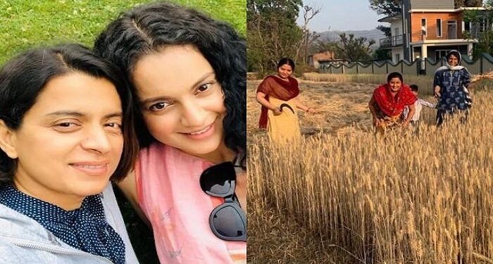 Rangoli, sister of actress Kangana, is seen reaping crops in the fields