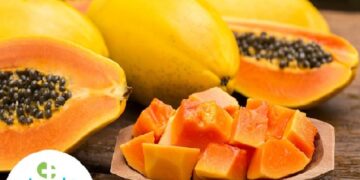 Definitely use this fruit in summer, it strengthens immunity
