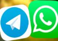 WhatsApp/ Telegram