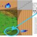 weather forecast