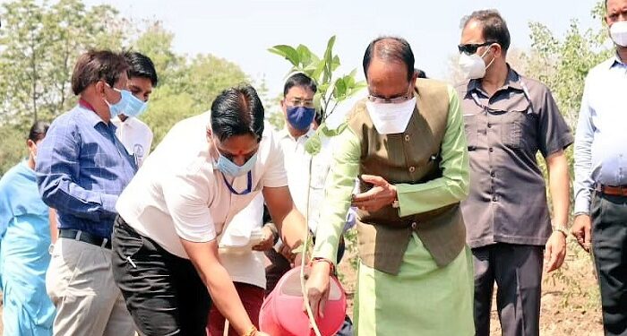 स्मार्ट उद्यान में मध्यप्रदेश के मुख्यमंत्री ने स्मार्ट उद्यान में लगाया करंज का पौधा