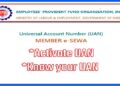 Know how to create UAN number online while sitting at home