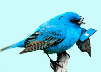 Twitter launches Birdwatch Notes