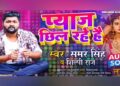 Bhojpuri songs 'Onion Chill Hare Hai' created panic, got millions of views