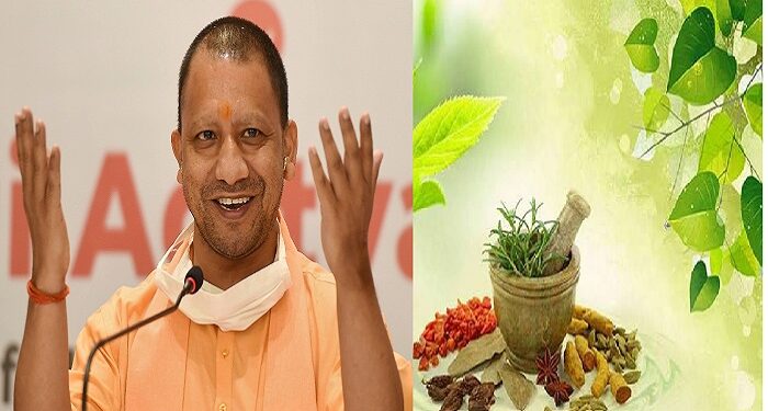 cm yogi