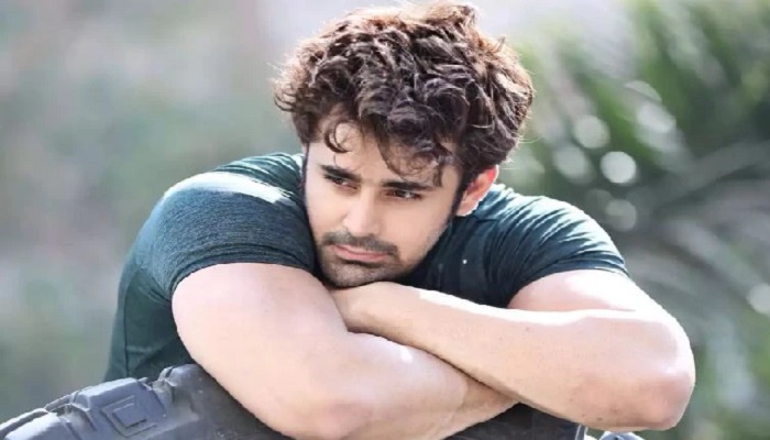 'Naagin 3' fame Pearl V Puri's bail plea rejected