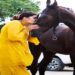 Haryanvi dancer Sapna Choudhary shares pictures with horse