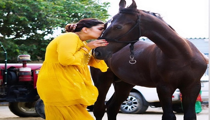 Haryanvi dancer Sapna Choudhary shares pictures with horse