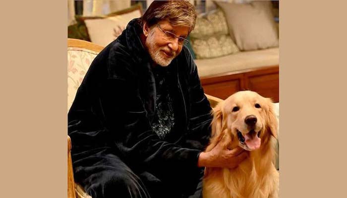 Big B is very happy with his new costar, shared pictures