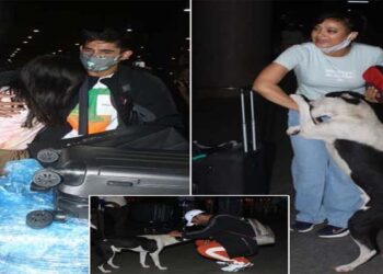 Contestants of Khatron Ke Khiladi 11 were welcomed by dog at airport