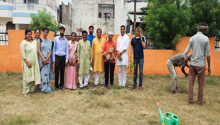 plantation in lucknow