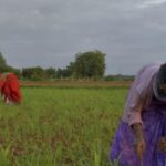 PM Kisan Samman Nidhi