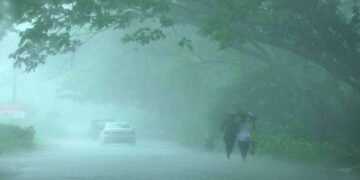 Heavy Rain