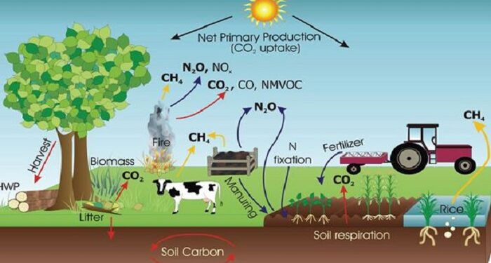 climate crisis