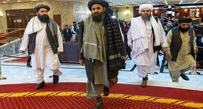 taliban government