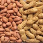 Groundnut