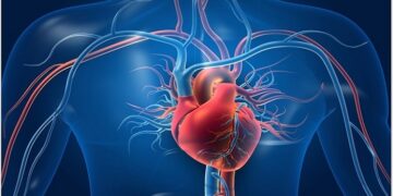 Heart Beat