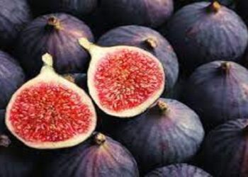 Figs