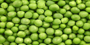 Green Peas