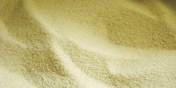 Semolina