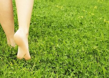 walking on the grass