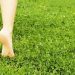 walking on the grass