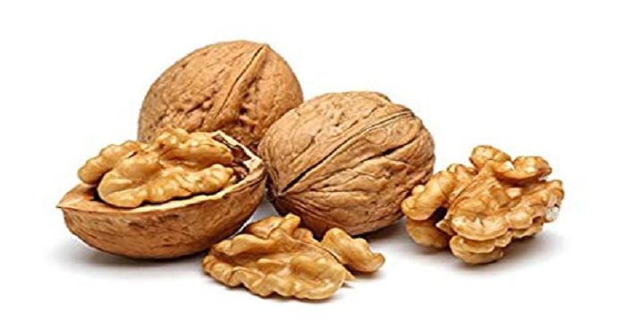 walnut