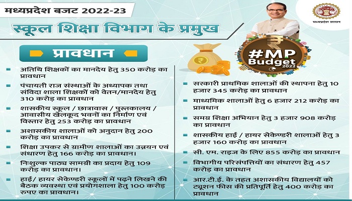annual budget