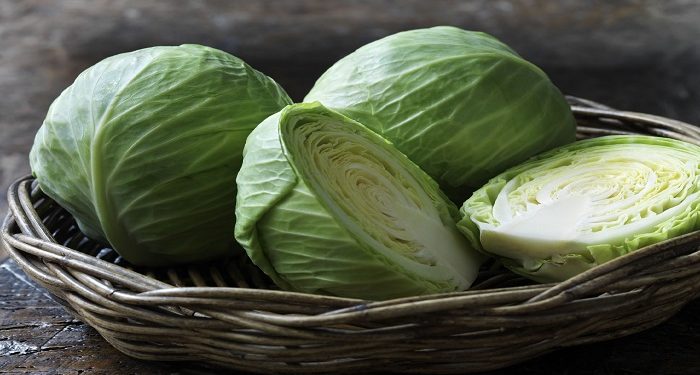 Cabbage