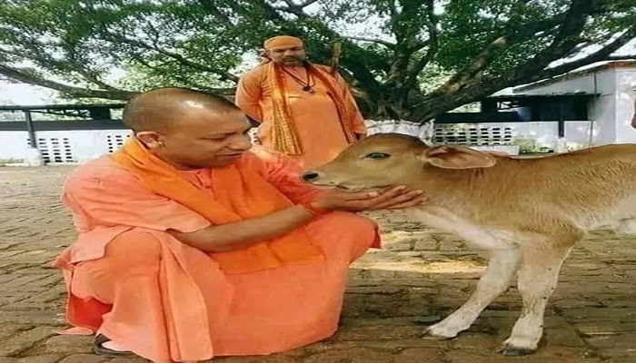 CM Yogi