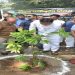 cm dhami