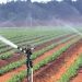 Irrigation