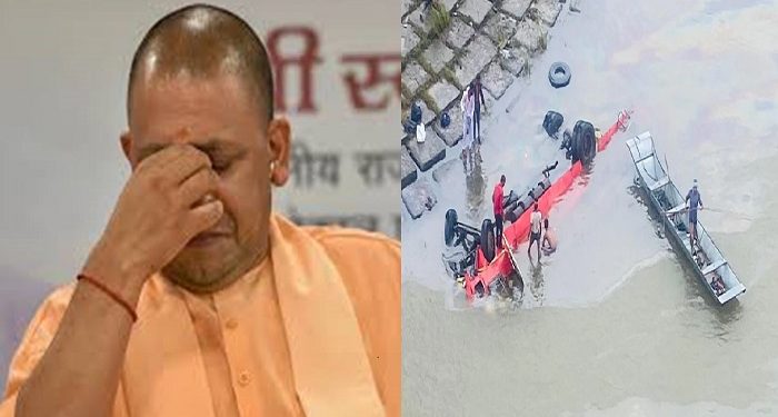 yogi