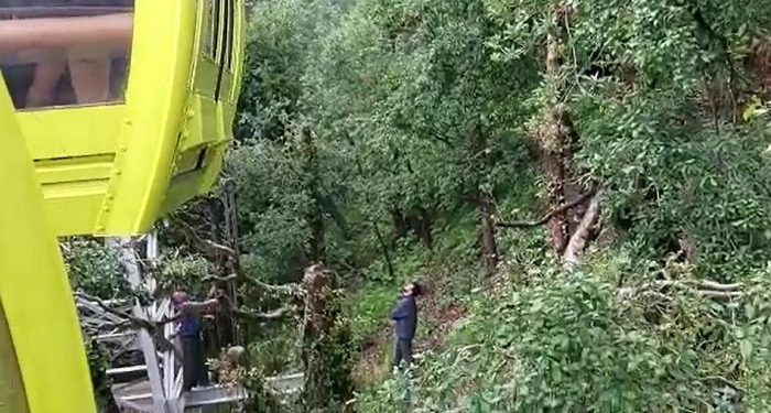 Ropeway trolley