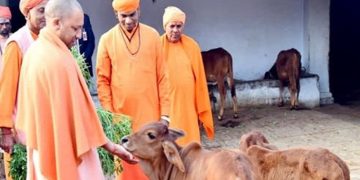 Gaushalas
