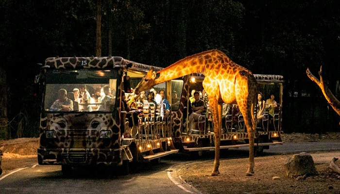 Kukrail Night Safari
