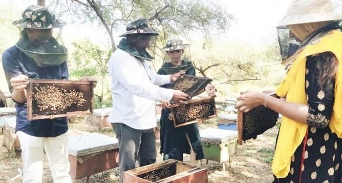 beekeeping